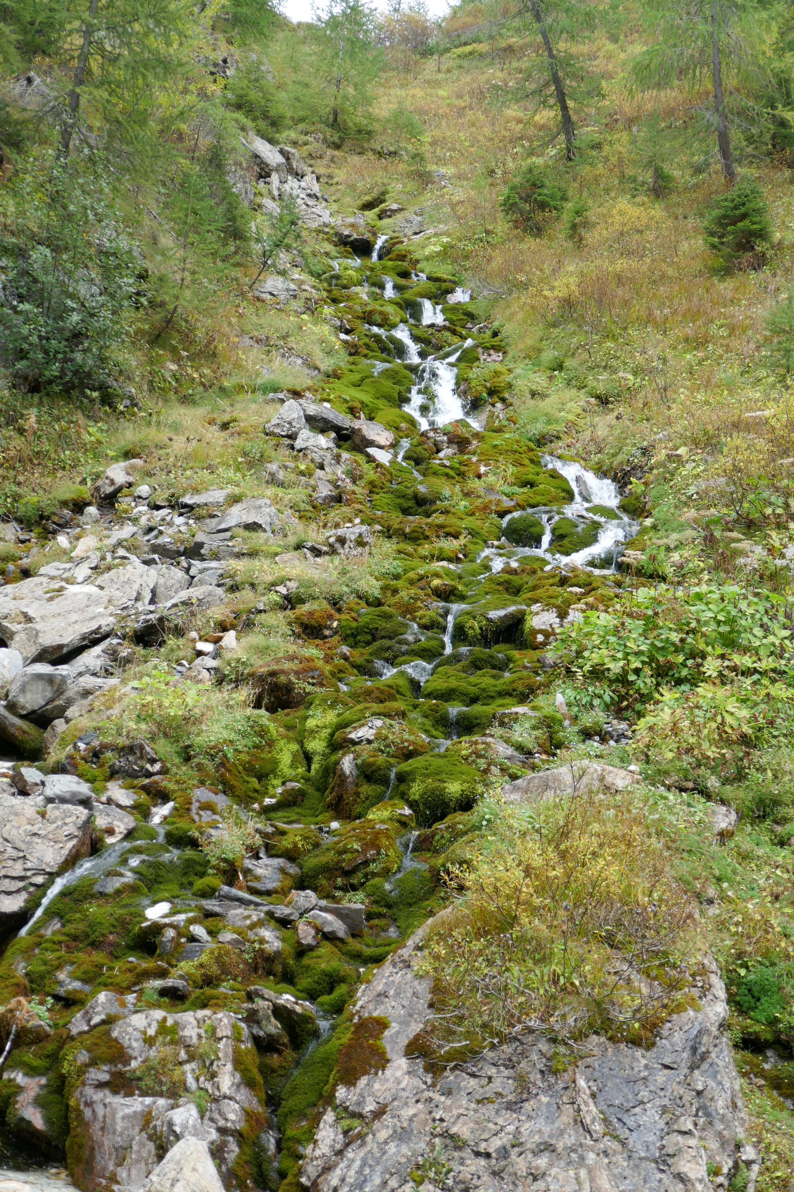 plätschernder Bach im Talgrund